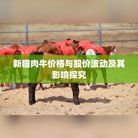 新疆肉牛价格与股价波动及其影响探究