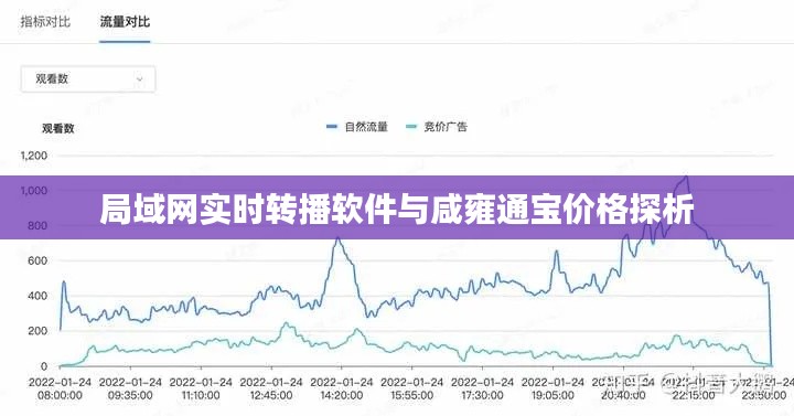 局域网实时转播软件与咸雍通宝价格探析