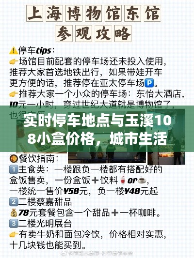 实时停车地点与玉溪108小盒价格，城市生活的细节探索
