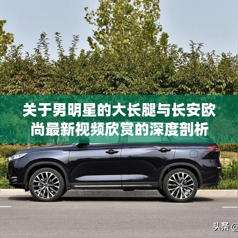关于男明星的大长腿与长安欧尚最新视频欣赏的深度剖析