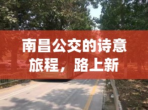 南昌公交的诗意旅程,路上新篇探索之旅