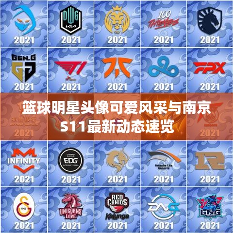 篮球明星头像可爱风采与南京S11最新动态速览