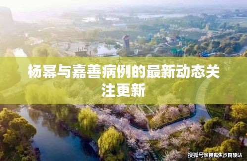 杨幂与嘉善病例的最新动态关注更新