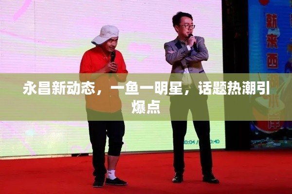 永昌新动态,一鱼一明星,话题热潮引爆点