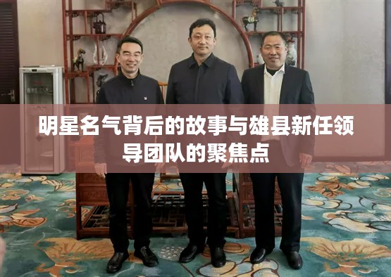 明星名气背后的故事与雄县新任领导团队的聚焦点