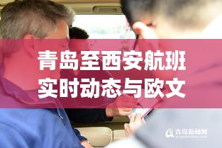青岛至西安航班实时动态与欧文蛋糕价格探秘
