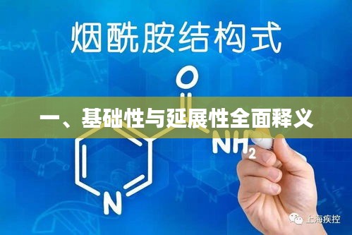 一、基础性与延展性全面释义