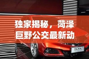 独家揭秘，菏泽巨野公交最新动态及黄宁倩资讯一网打尽！