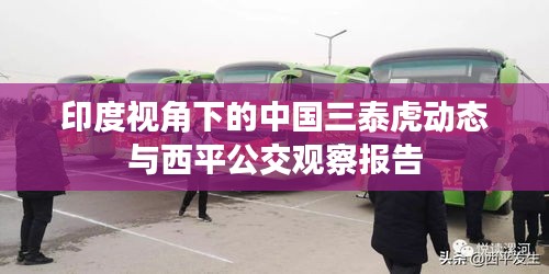 印度视角下的中国三泰虎动态与西平公交观察报告