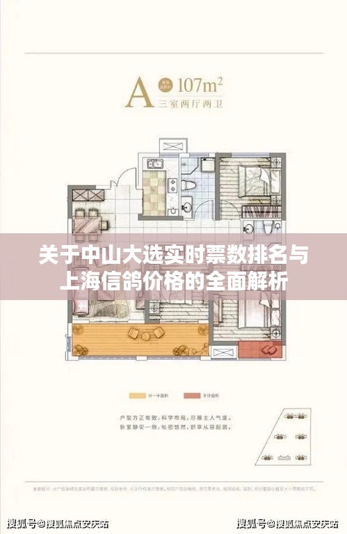 关于中山大选实时票数排名与上海信鸽价格的全面解析