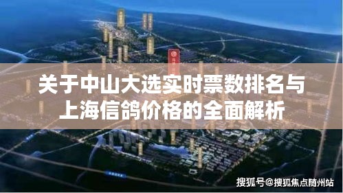 关于中山大选实时票数排名与上海信鸽价格的全面解析