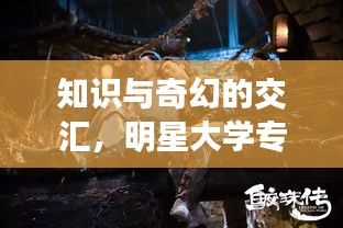 知识与奇幻的交汇,明星大学专业与蜀山传探索