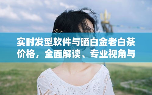 实时发型软件与晒白金老白茶价格,全面解读、专业视角与风险防范