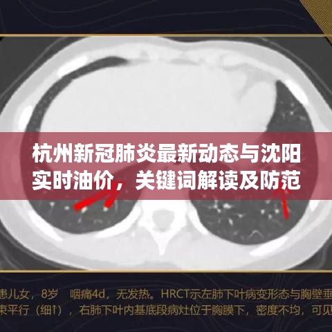 杭州新冠肺炎最新动态与沈阳实时油价,关键词解读及防范虚假宣传指导