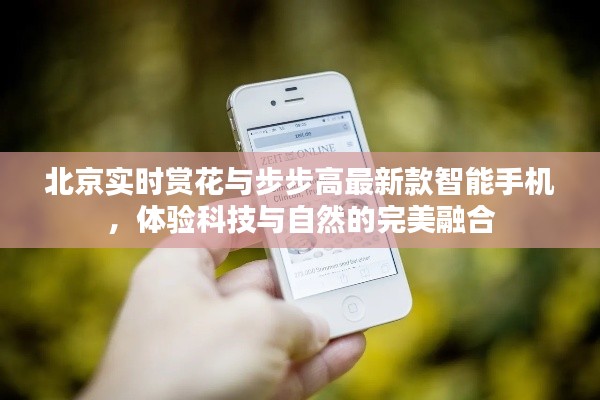 北京实时赏花与步步高最新款智能手机,体验科技与自然的完美融合