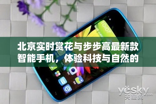 北京实时赏花与步步高最新款智能手机,体验科技与自然的完美融合