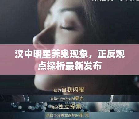 汉中明星养鬼现象,正反观点探析最新发布