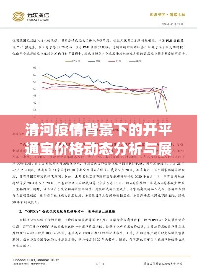 清河疫情背景下的开平通宝价格动态分析与展望，学术视角的综述研究