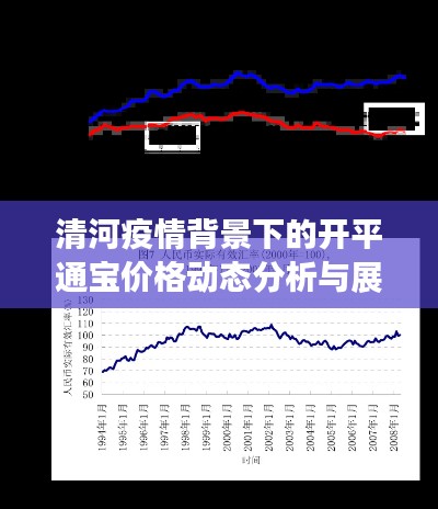 清河疫情背景下的开平通宝价格动态分析与展望,学术视角的综述研究