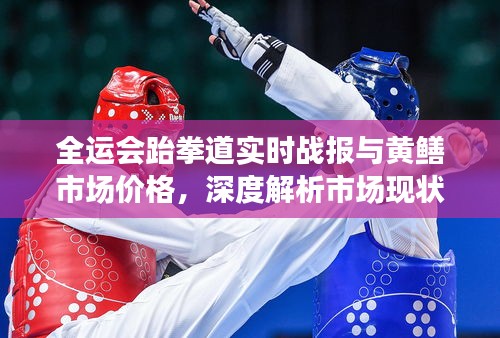 全运会跆拳道实时战报与黄鳝市场价格,深度解析市场现状并防范虚假宣传