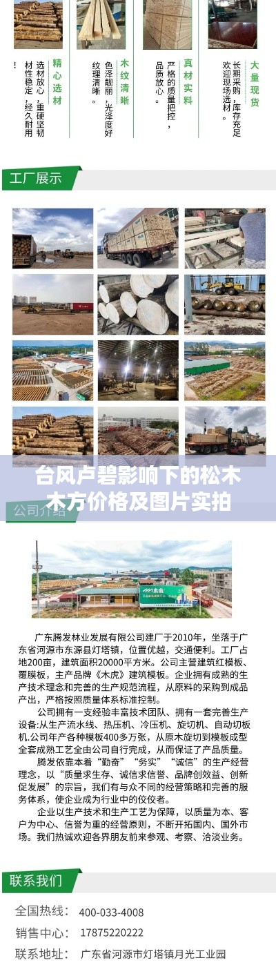 台风卢碧影响下的松木木方价格及图片实拍