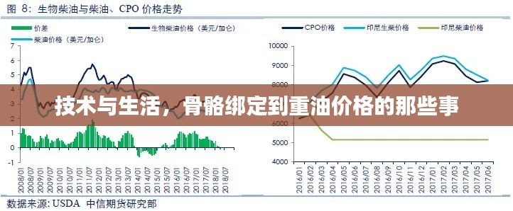 技术与生活,骨骼绑定到重油价格的那些事