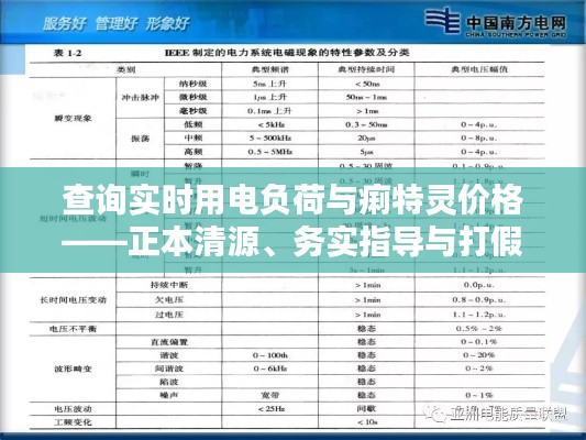 查询实时用电负荷与痢特灵价格——正本清源、务实指导与打假警示