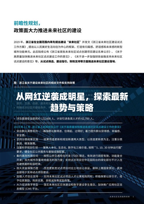 从网红逆袭成明星,探索最新趋势与策略