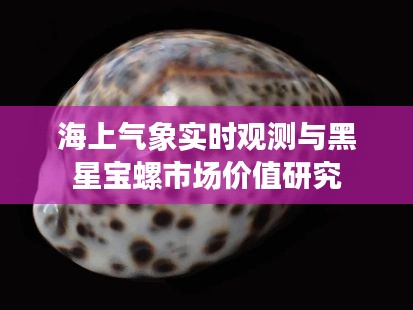 海上气象实时观测与黑星宝螺市场价值研究