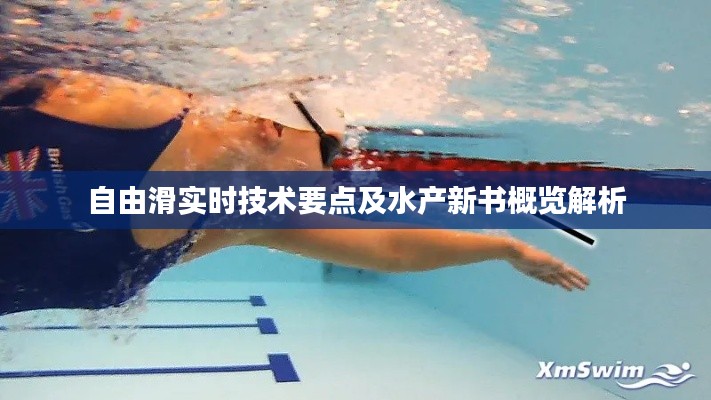 自由滑实时技术要点及水产新书概览解析
