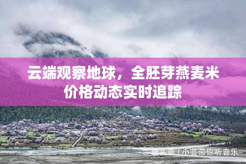 云端观察地球,全胚芽燕麦米价格动态实时追踪