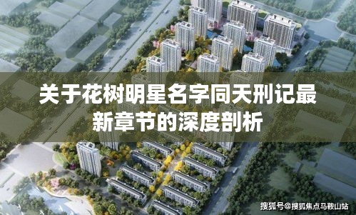 关于花树明星名字同天刑记最新章节的深度剖析