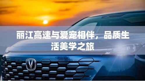 丽江高速与爱宠相伴,品质生活美学之旅