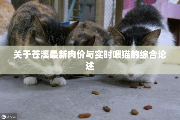 关于苍溪最新肉价与实时喂猫的综合论述