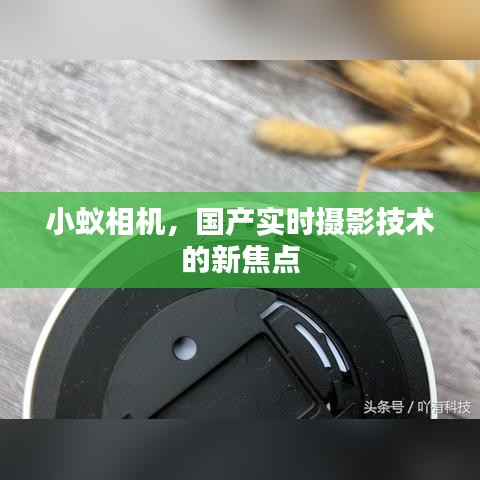 小蚁相机,国产实时摄影技术的新焦点