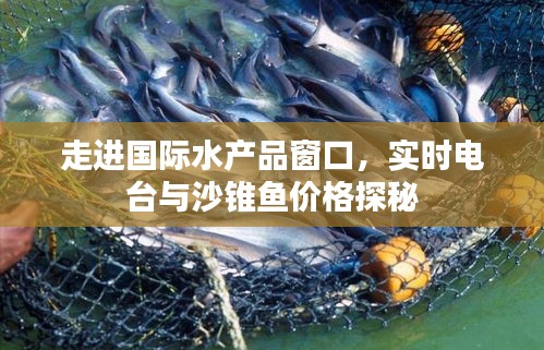走进国际水产品窗口,实时电台与沙锥鱼价格探秘