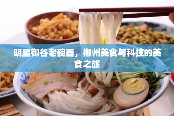 明星御谷老碗面，郴州美食与科技的美食之旅
