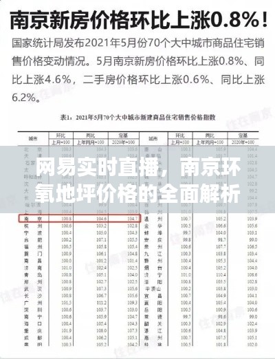 网易实时直播,南京环氧地坪价格的全面解析与深度解读
