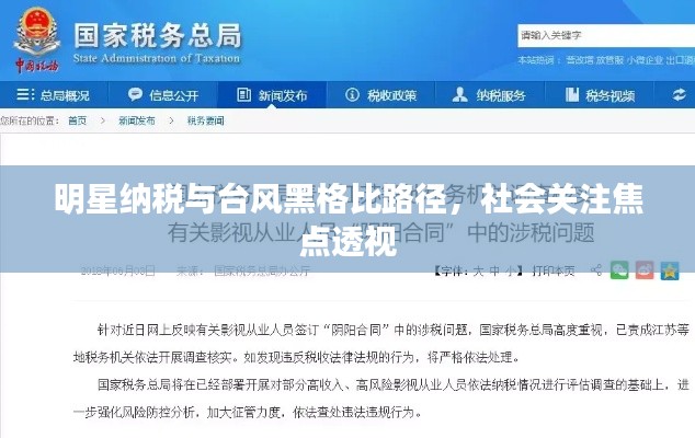 明星纳税与台风黑格比路径,社会关注焦点透视