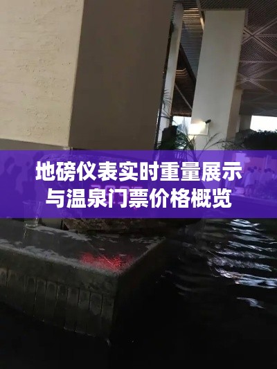 地磅仪表实时重量展示与温泉门票价格概览