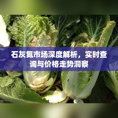 石灰氮市场深度解析,实时查询与价格走势洞察