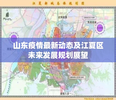 山东疫情最新动态及江夏区未来发展规划展望