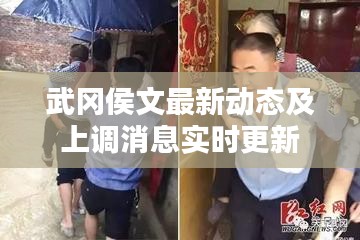 武冈侯文最新动态及上调消息实时更新