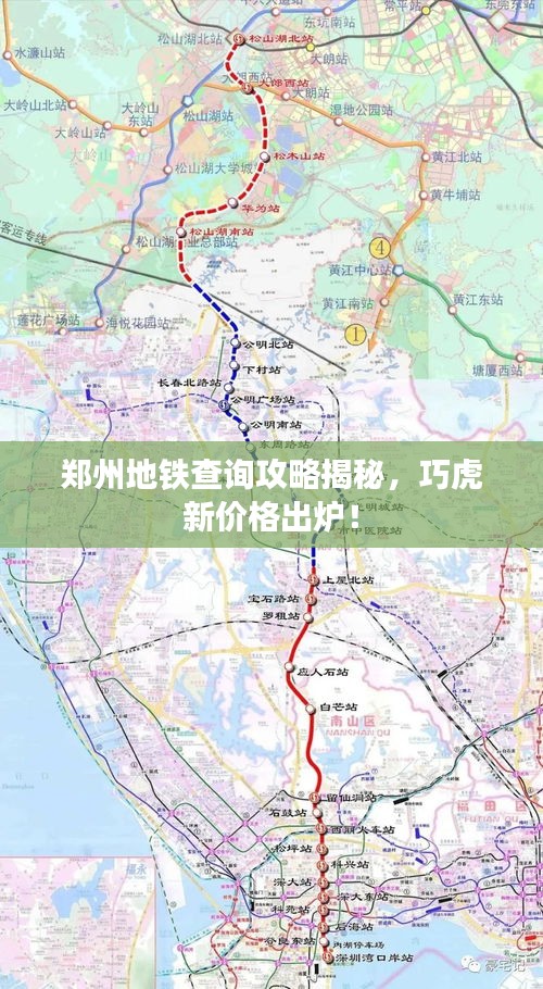 郑州地铁查询攻略揭秘,巧虎新价格出炉!