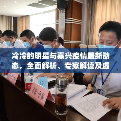 冷冷的明星与嘉兴疫情最新动态,全面解析、专家解读及虚假宣传揭露