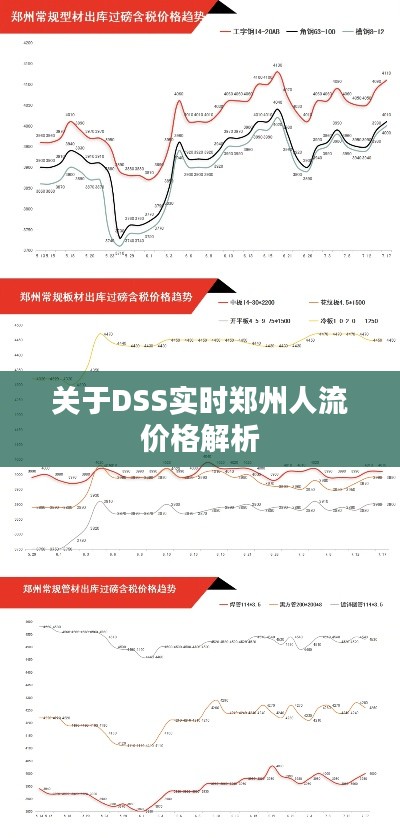 关于DSS实时郑州人流价格解析