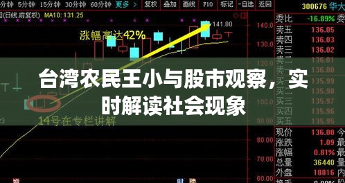 台湾农民王小与股市观察,实时解读社会现象