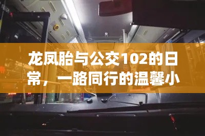 龙凤胎与公交102的日常,一路同行的温馨小故事