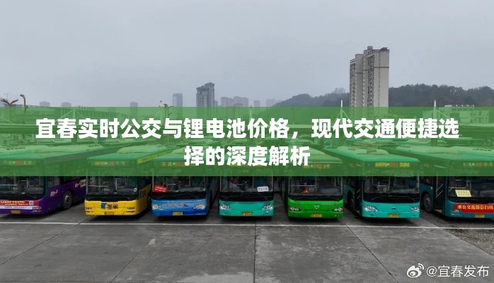 宜春实时公交与锂电池价格，现代交通便捷选择的深度解析