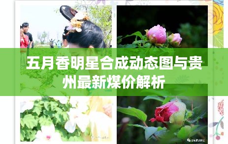 五月香明星合成动态图与贵州最新煤价解析
